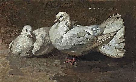 White doves