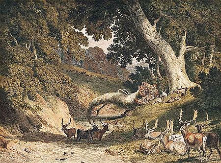 Stags and hinds in a park by a river by Robert Hills - Auction record, sale price, and art valuation. Compare with similar artists and explore comparable artworks.