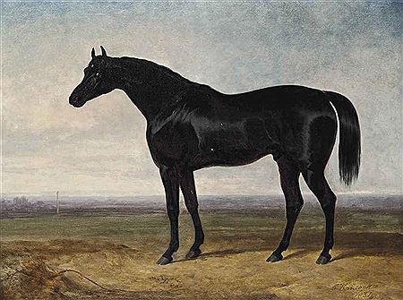 A favourite hunter