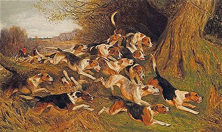 The thrill of the chase