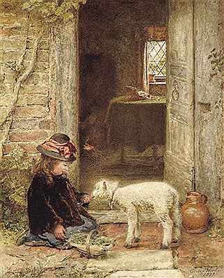 The pet lamb