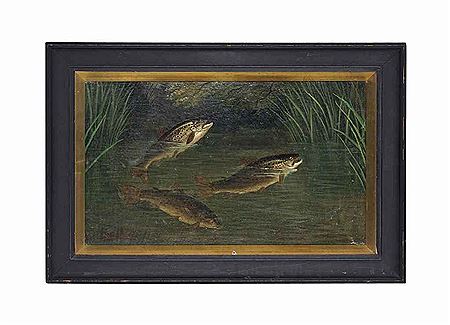 Trout in a River
