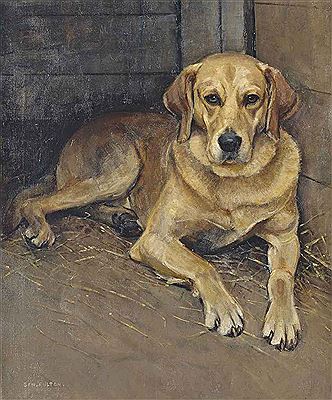 'LUATH', THE LABRADOR