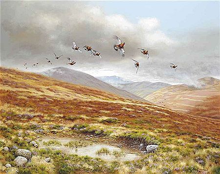 DRIVEN GROUSE, INVERCAULD
