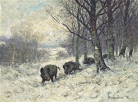 Boars at the edge of the forest