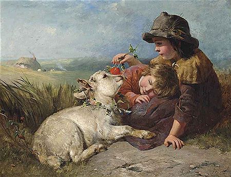The favourite pet