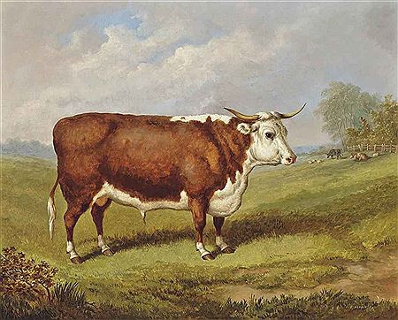 The Prize Bull by Edmund Benjamin Herberte - Auction record, sale price, and art valuation. Compare with similar artists and explore comparable artworks.