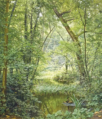 The woodland pool by Henri Biva - Auction record, sale price, and art valuation. Compare with similar artists and explore comparable artworks.