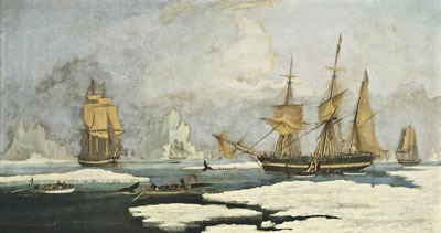 The Northern Whale Fishery: The ship Harmony of Hull and other ice-bound whalers, hunting seals, narwhals and whales on the Davis Straits whaling ground off Greenland