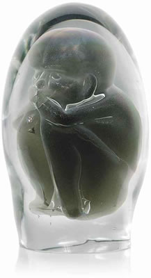 'EMBRIONE', 1978