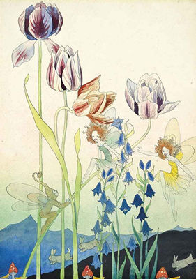 The tulip fairies