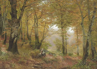 A Woodland Glade