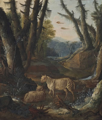 A wooded landscape with zebras