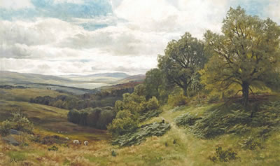 A tranquil valley