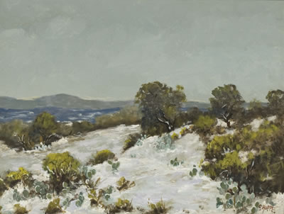 "Snow, Alamo Heights Basin"