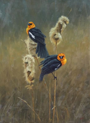 "Tall Tails"