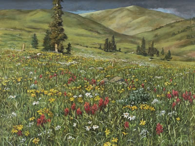 Mountain Meadow