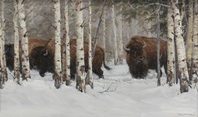 Buffalo