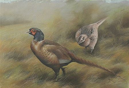 Study of two pheasants in a landscape