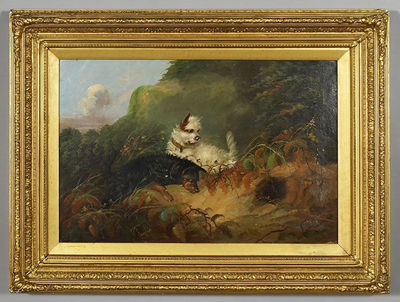 TERRIERS HUNTING