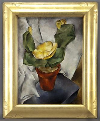 Cactus