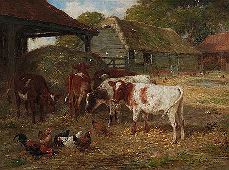 Calves and poultry in a yard