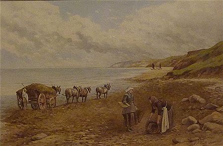 The Seaweed Cart