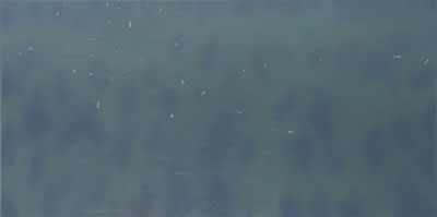 Ostre, nieostre, z cyklu "Patrzcie" by Kararzyna Skrobiszewska - Auction record, sale price, and art valuation. Compare with similar artists and explore comparable artworks.