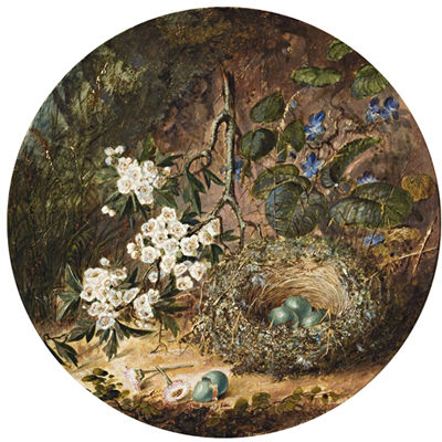 Fallen Birds' Nest by William Dexter - Auction record, sale price, and art valuation. Compare with similar artists and explore comparable artworks.