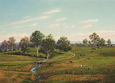 Cattle Farm Near Wilton, Nsw, 1990