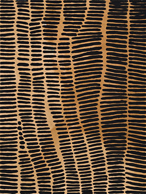 Jimbala Country by Lena Nyadbi - Auction record, sale price, and art valuation. Compare with similar artists and explore comparable artworks.