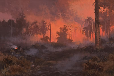 Fire in the Dandenong Ranges