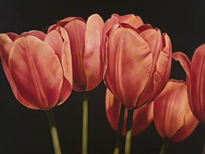 A NEW LIFE by Jason Benjamin - Auction record, sale price, and art valuation. Compare with similar artists and explore comparable artworks.