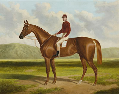 FALCON: WINNER OF THE1864 ADELAIDE CUP