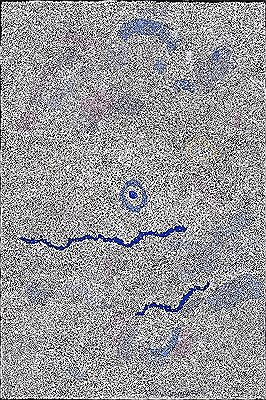 Sample artwork by Theresa Nowee Napaltjarri (Born 1971), known for aboriginal paintings - View similar artists and auction records