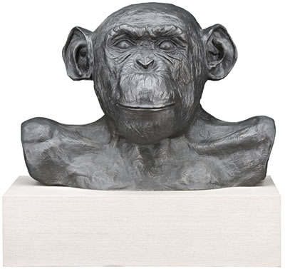 Ham (Astro Chimp) No. 29