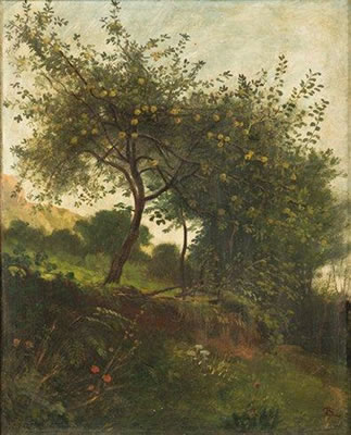 Pommiers à Proveysieux