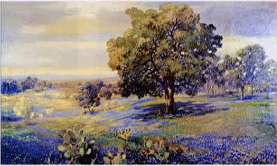 Texas Bluebonnets
