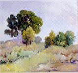 Upper Valley Trees