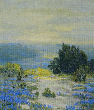 Texas Bluebonnets