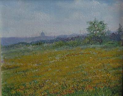 "Indian Paint" View of Austin