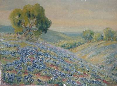 Bluebonnets