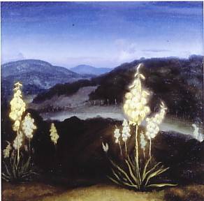 Bear Grass Yucca by Paul Rodda Cook - Auction record, sale price, and art valuation. Compare with similar artists and explore comparable artworks.