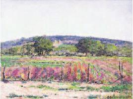 The Beet Field