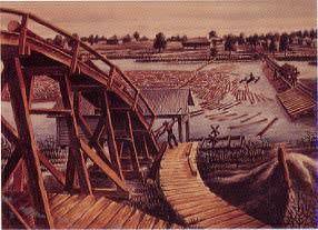 Mill Pond Log Ramp