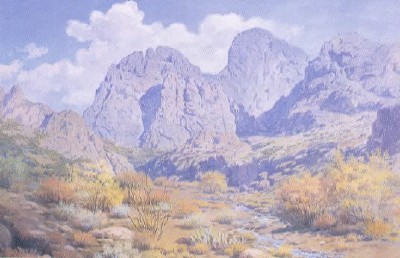 West Texas Mountains