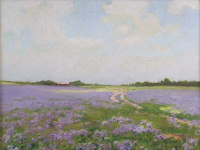 Field of Verbena
