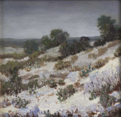 Snow at Alamo Basin #2