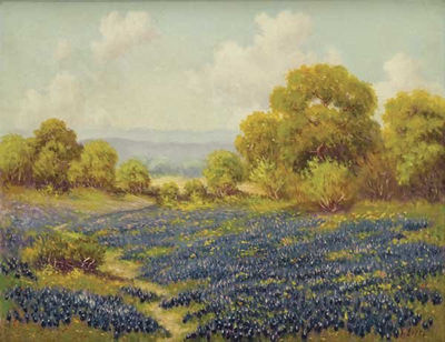 Bluebonnets, Texas