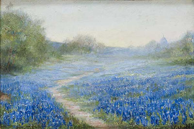 Bluebonnets